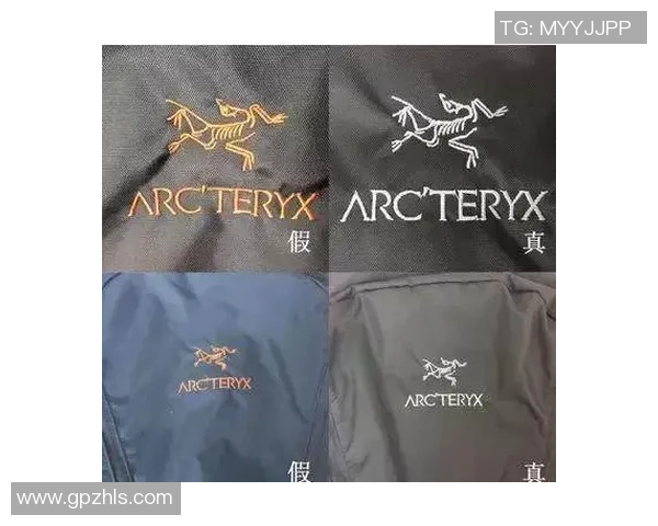 秘鲁与丹麦比赛中黄牌数对比分析及其影响探讨